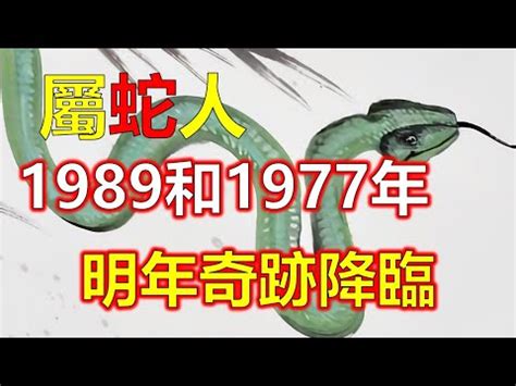 1989 蛇 五行|1989年属蛇的是什么命，89年出生的蛇五行属什么